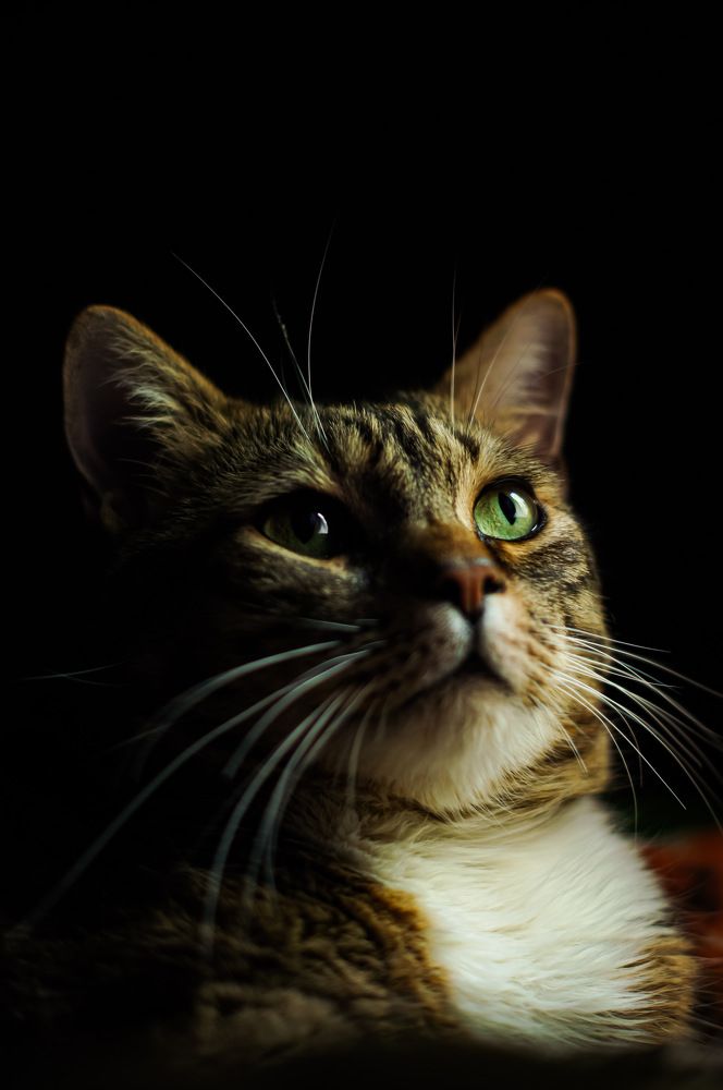 Photograph by Сергей Герасимов