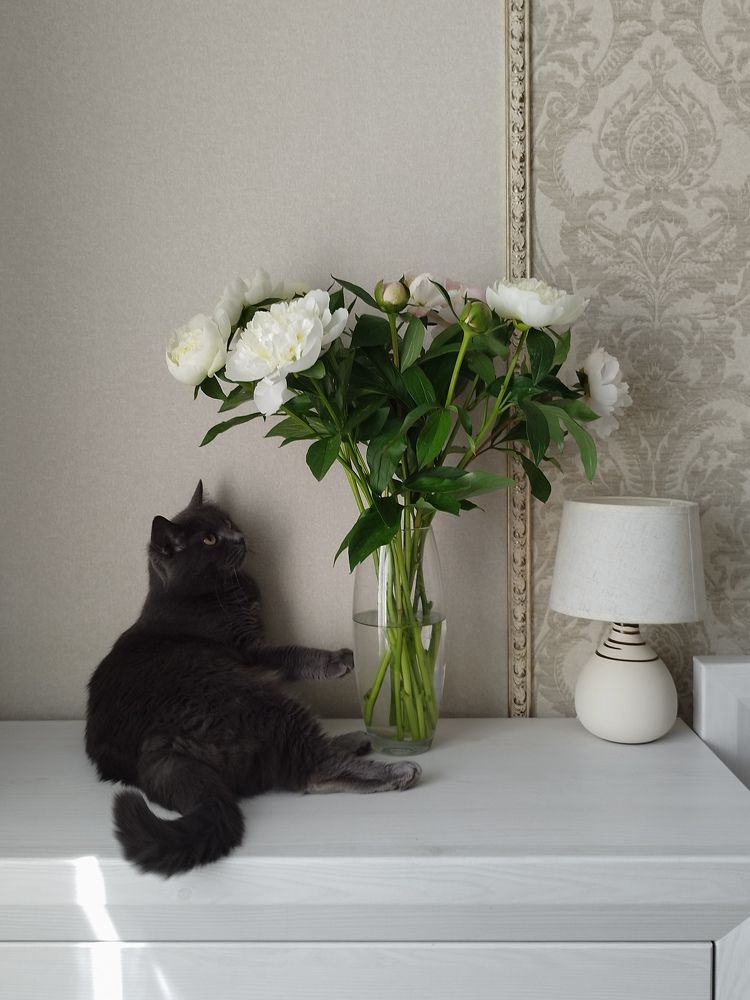 Photograph by Полина Трашко