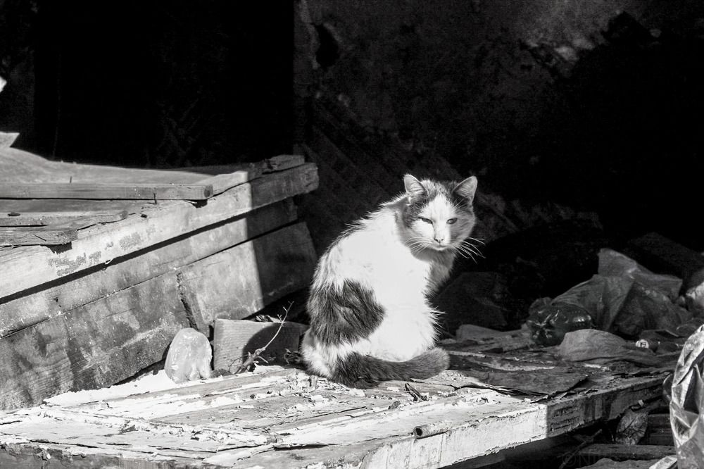 Photograph by NIKA OBIDA