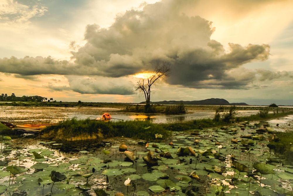 Photograph by Pheap Sophinh