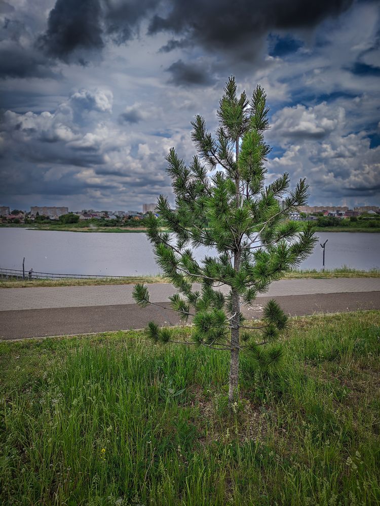 Photograph by Олега Тор