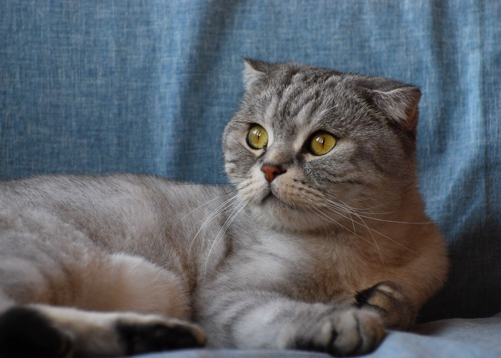 Photograph by Натали Фромм