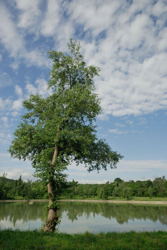 Фотография автора Дмитрий Referee