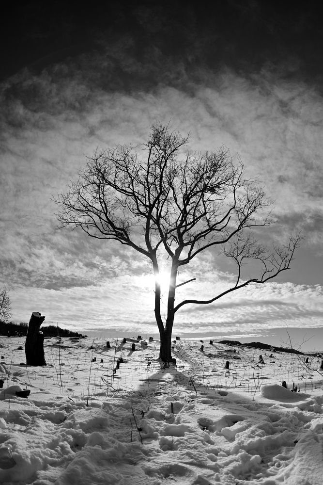 Фотография автора Дмитрий Referee