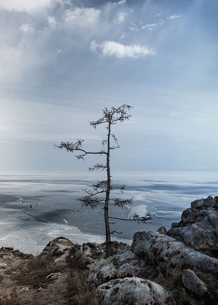 Photograph by Денис Дорошенко