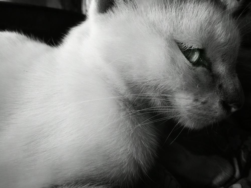 Photograph by Pheap Sophinh