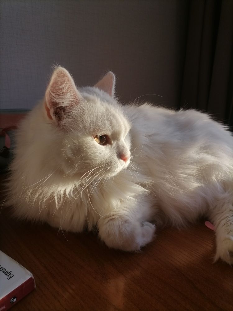 Sun on the sun
