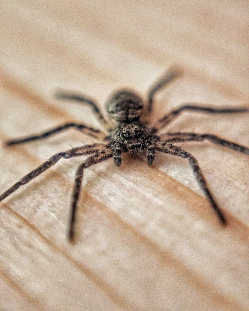 Photograph by Екатерина Колот