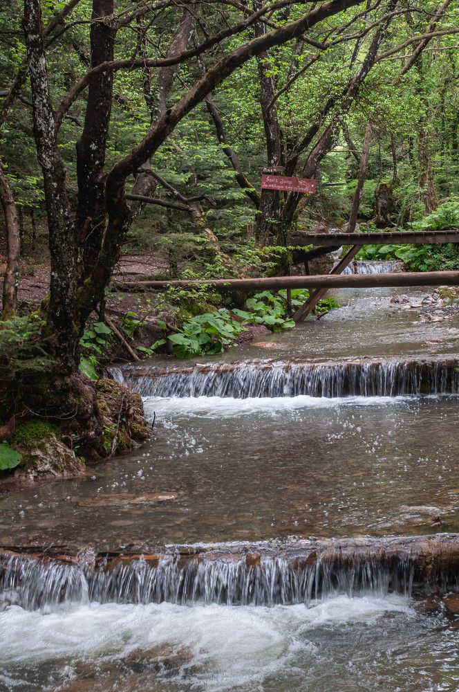 Фотография автора DIMITRIS MPAZIOTOPOULOS
