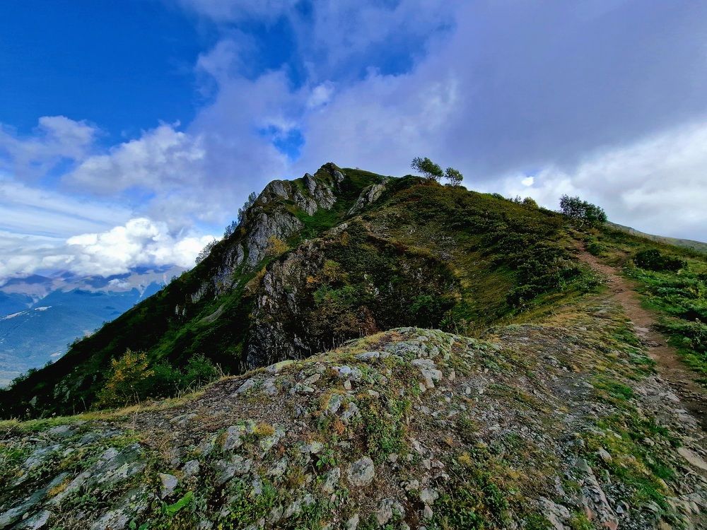 Photograph by Karpenko Denis