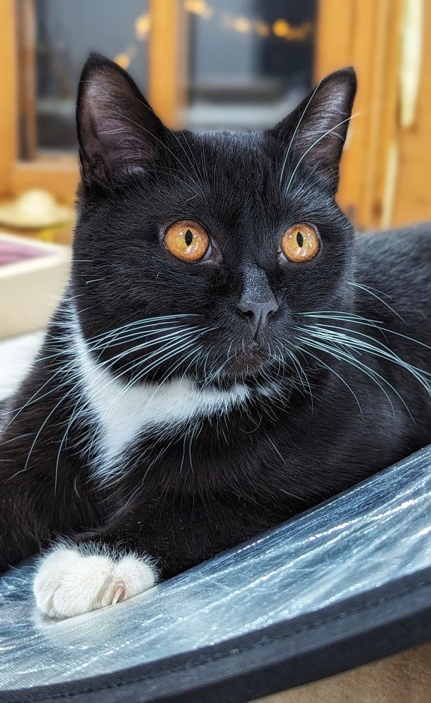 Photograph by Екатерина Колот