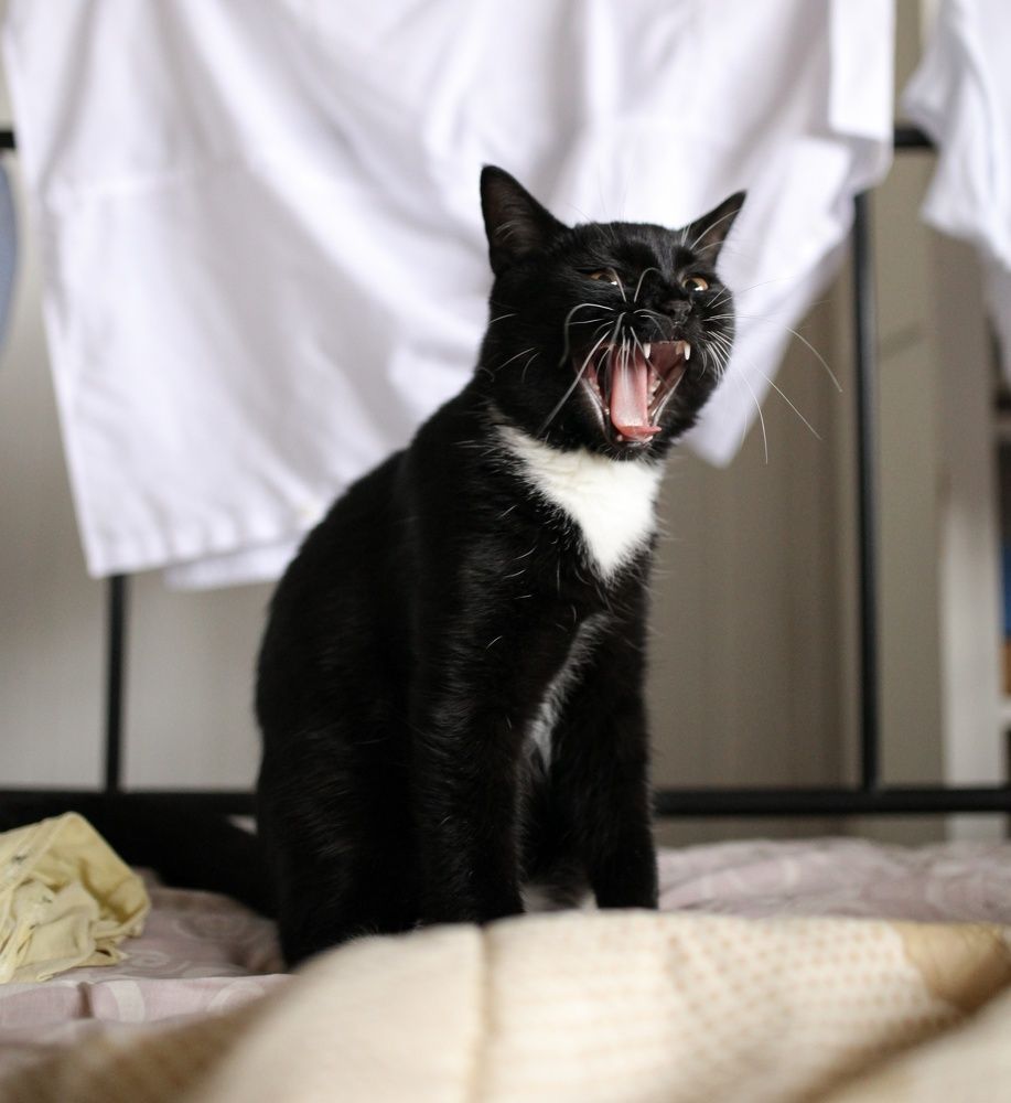 Photograph by Екатерина Колот