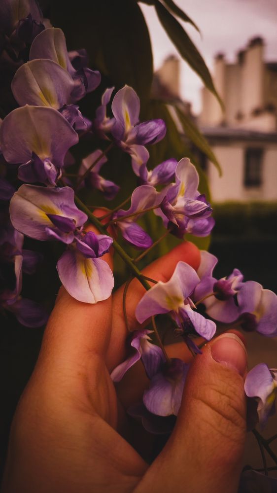 Photograph by Светлана Мишенина