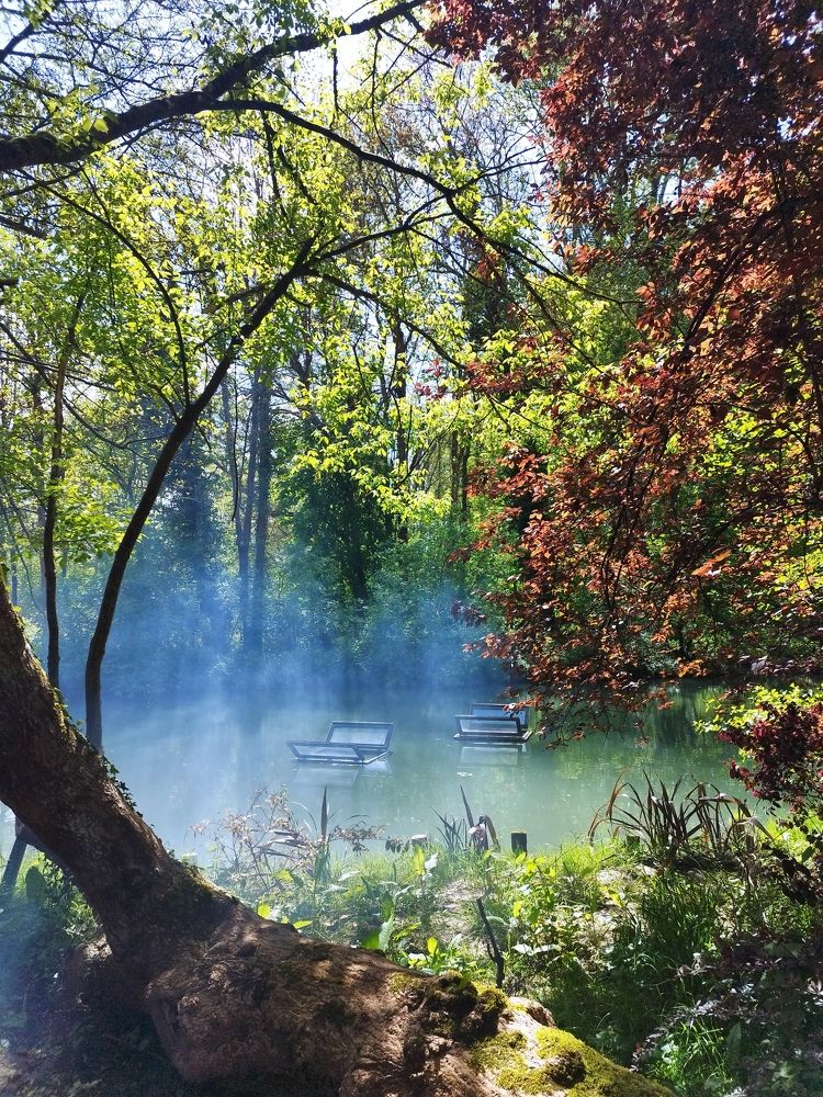 Photograph by Светлана Мишенина