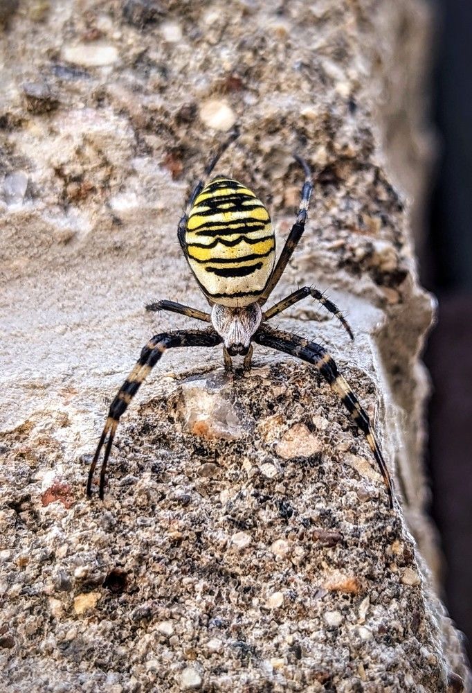 Photograph by Екатерина Колот