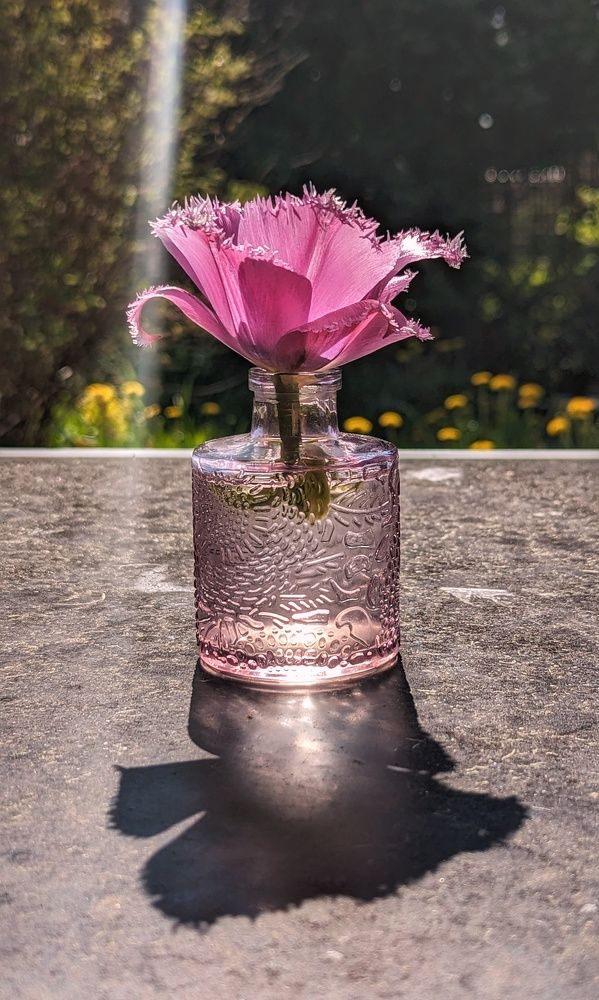 Photograph by Екатерина Колот