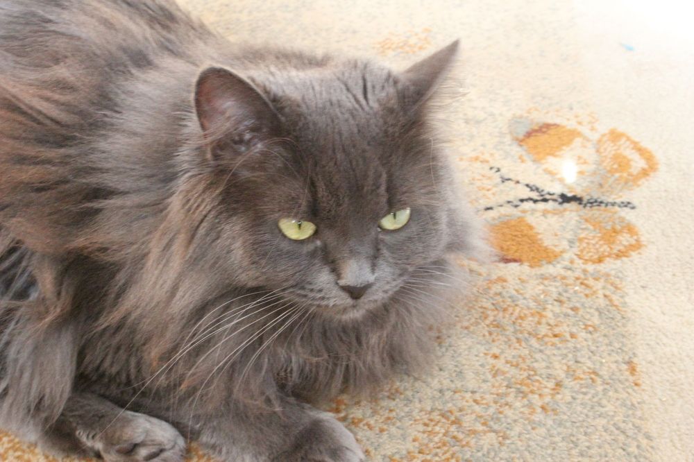 Photograph by Алексей Малеев