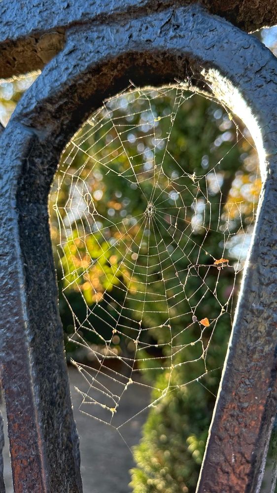 Photograph by Мария Алейникова