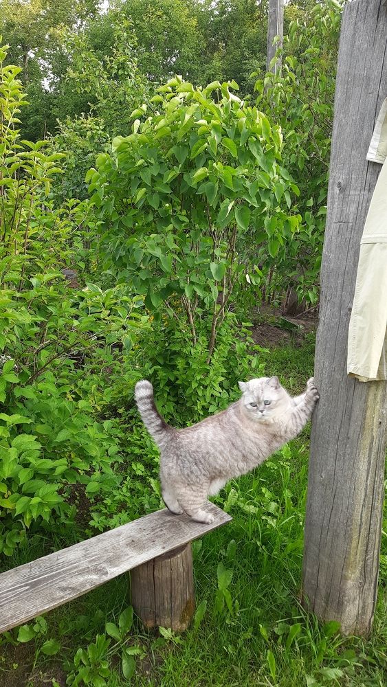 Photograph by Светлана Цапина