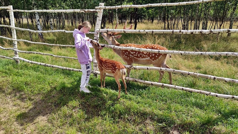Photograph by Валерий Клейменов