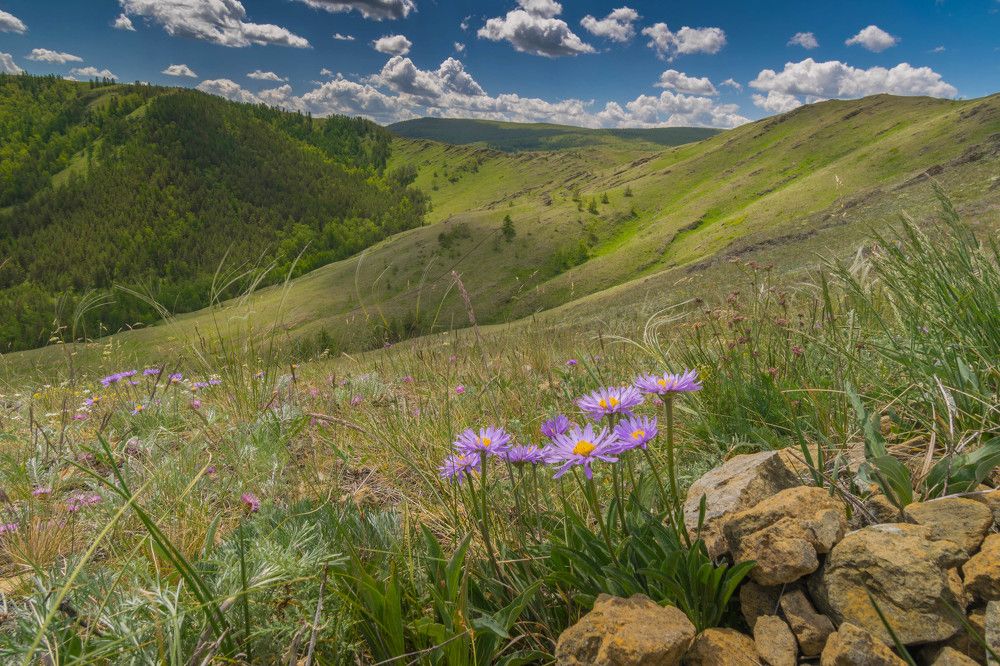 Лето на южном урале.