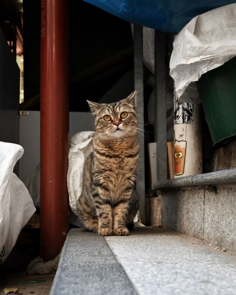 Photograph by Kedar Diwakar Mandakhalikar