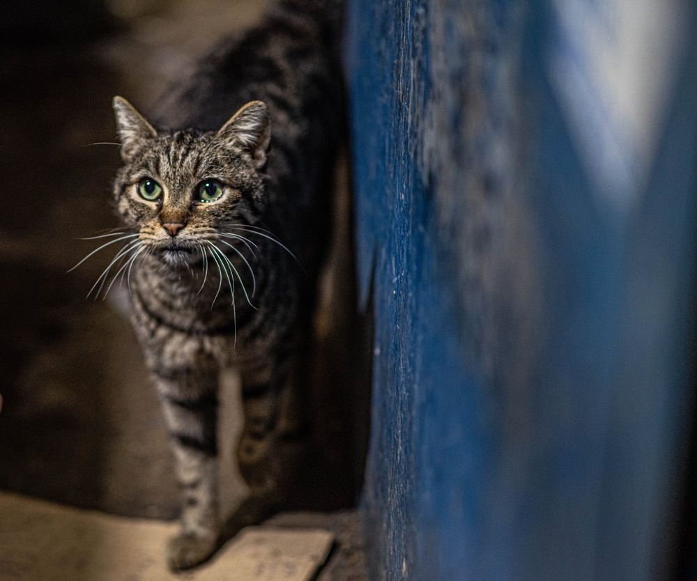 Photograph by sharron Ben Ari