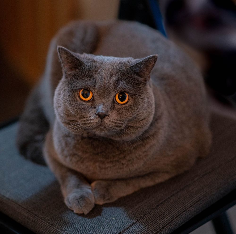 Photograph by sharron Ben Ari