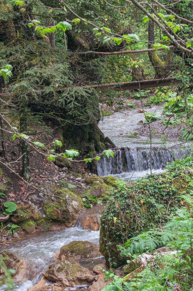 Фотография автора DIMITRIS MPAZIOTOPOULOS
