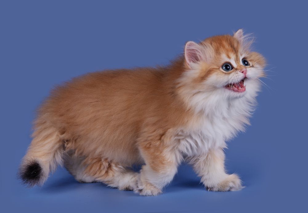 Photograph by Юлия Вербицкая