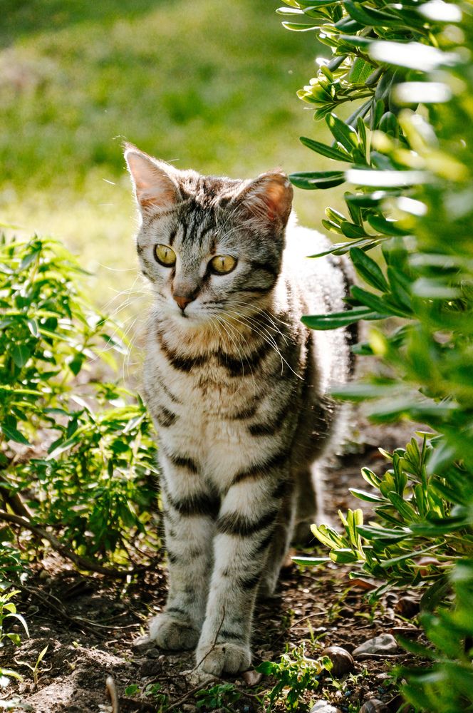 Photograph by Марина Маркина