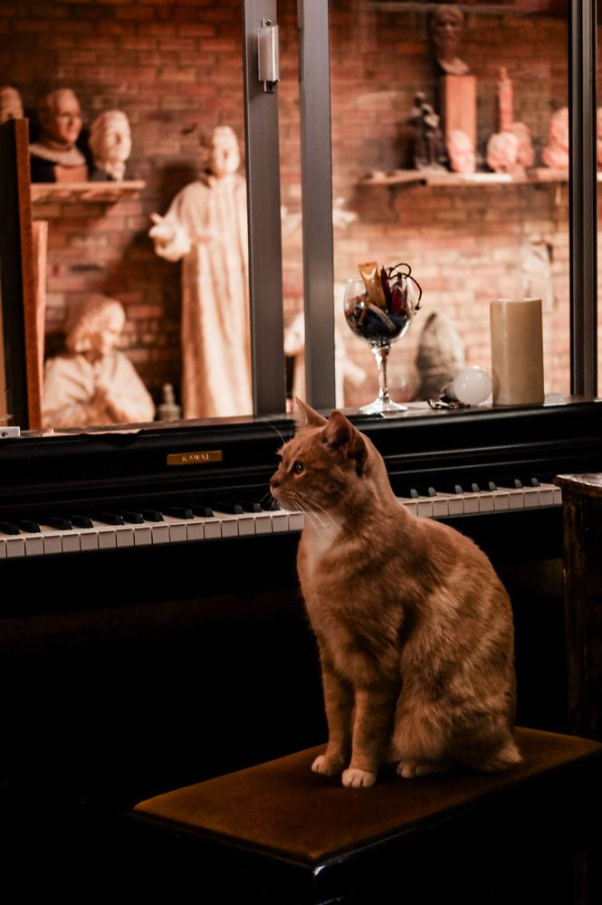 Photograph by Viyaleta Zmitrovich