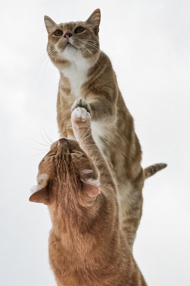 Photograph by Viyaleta Zmitrovich