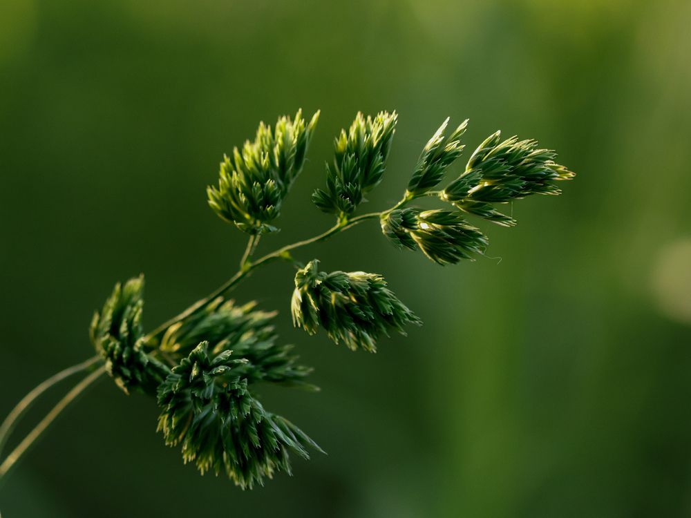 Фотография автора Suzana Svecnjak