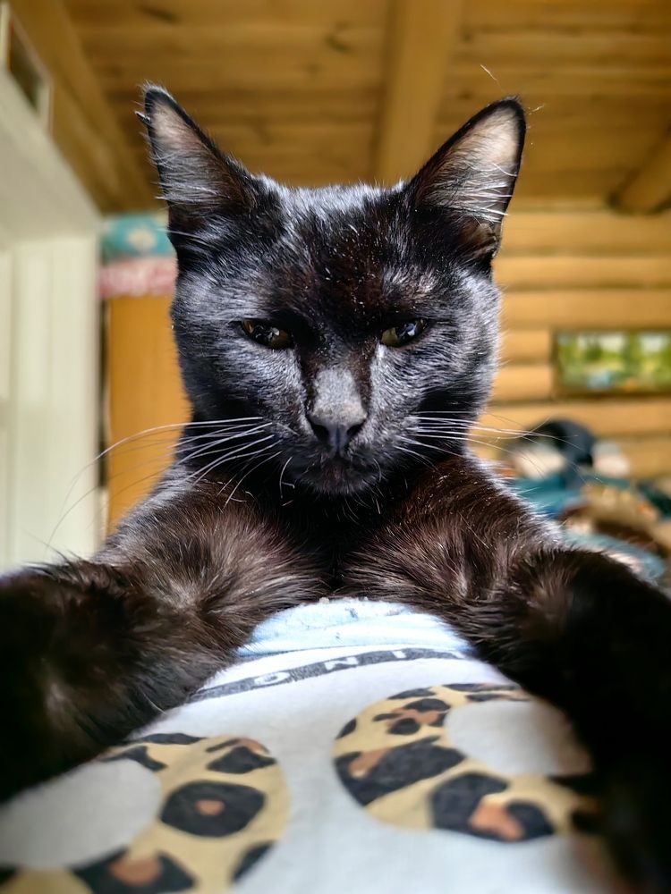 Photograph by Игорь Сапронов