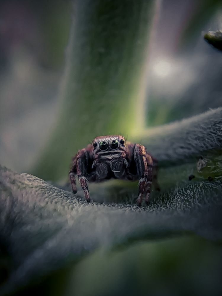 Фотография автора Наталья Алексеева