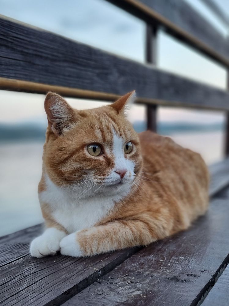 Photograph by Ольга Дёмина