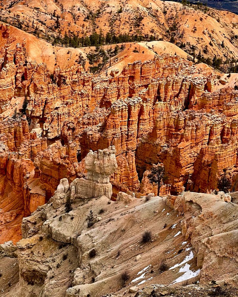 Photograph by Rosana Moyano