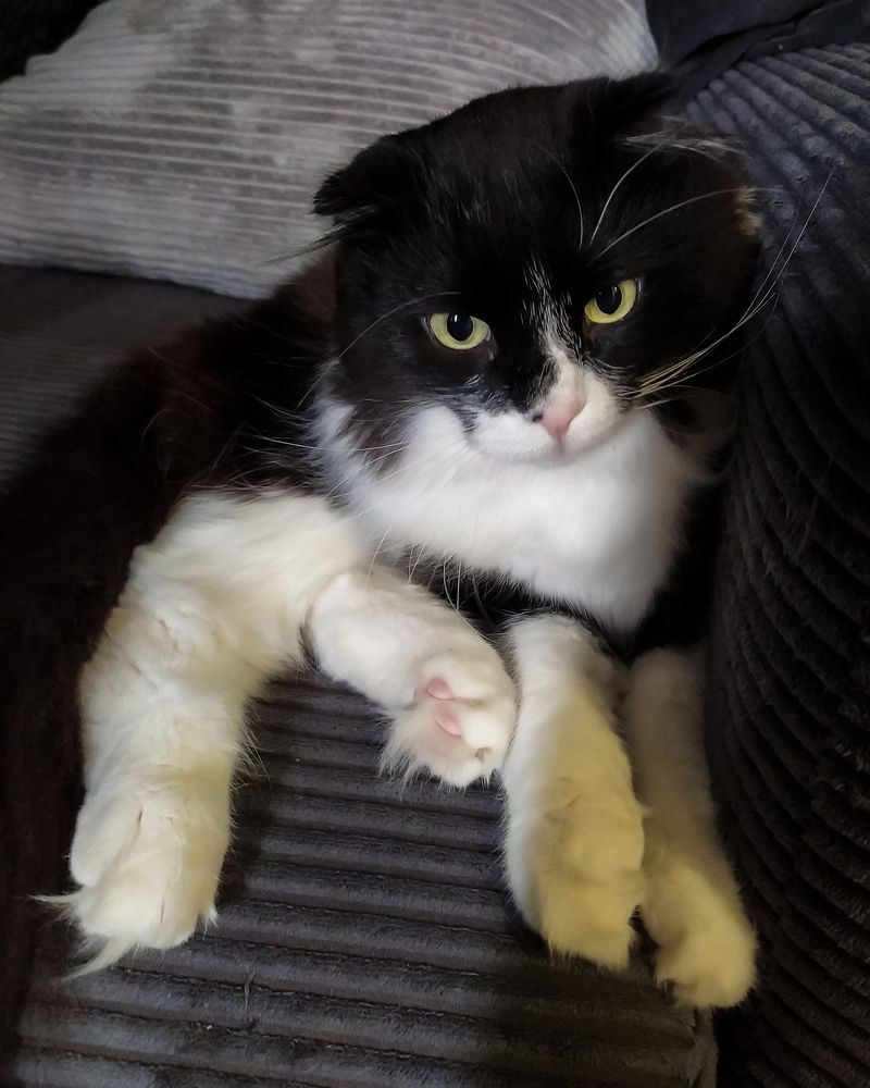 Photograph by Александр Панин