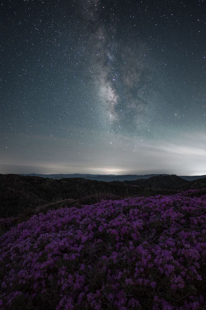 Photograph by HIROTOMO NAKAHARA