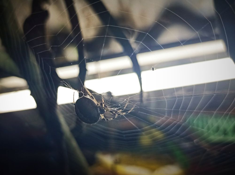 Photograph by Dilip kumar J Jdk