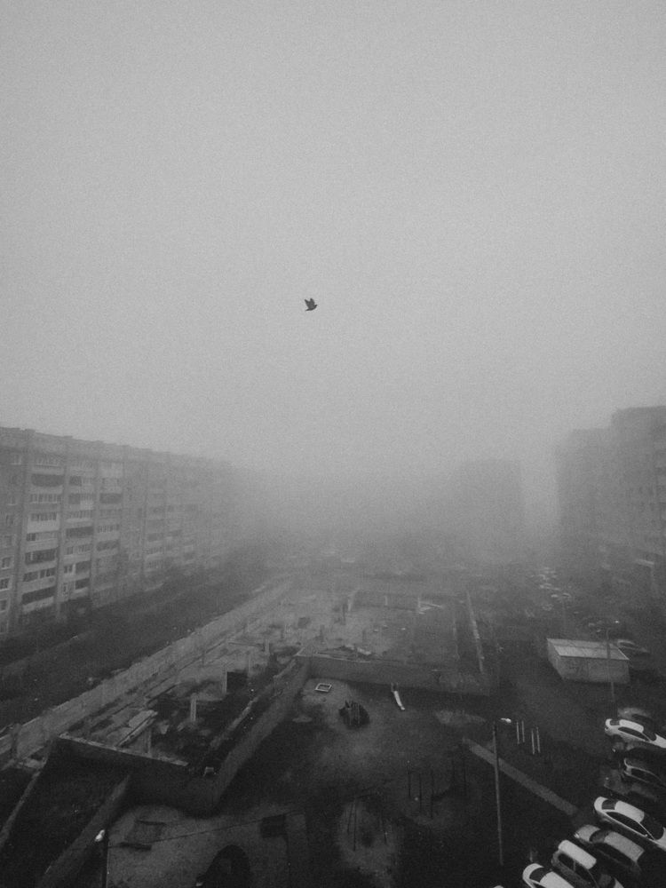 Photograph by Дмитрий Дятлов