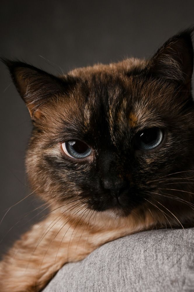 Photograph by Дмитрий Чирков