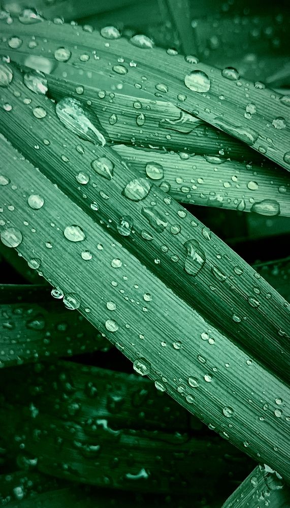 Photograph by Mishel Photographer