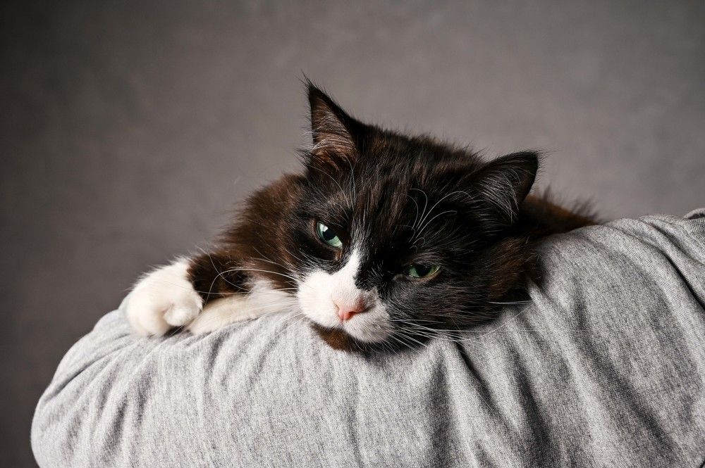 Photograph by Дмитрий Чирков