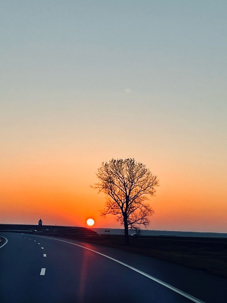 Photograph by Алексей Большаков