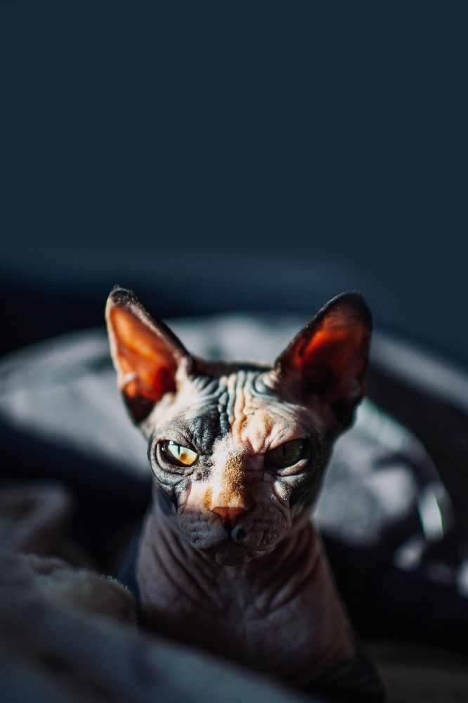 Photograph by Kovalev Artur