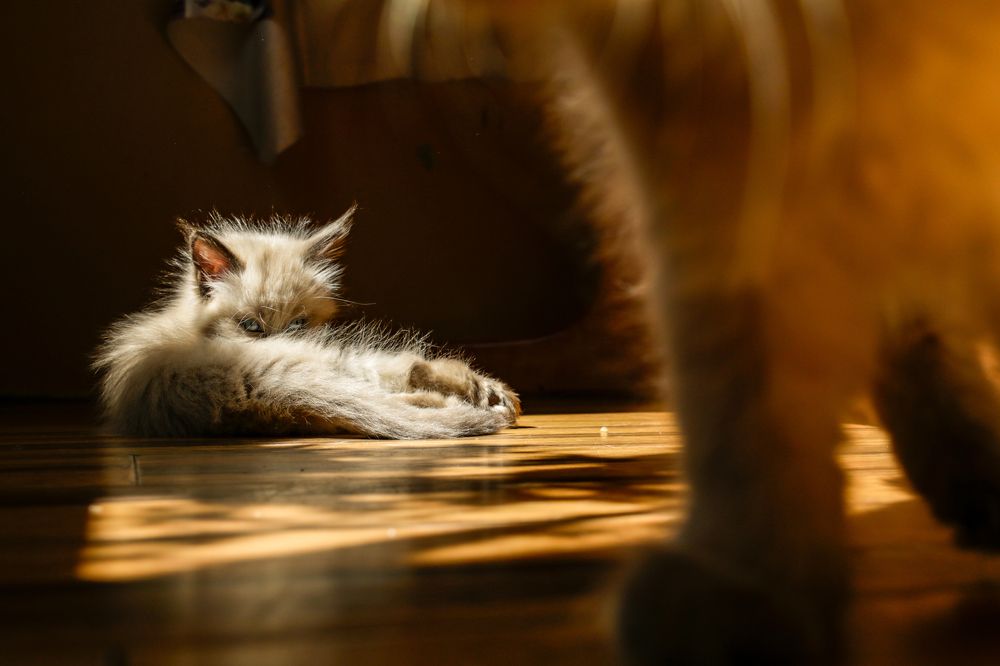 Photograph by Ирина Рыжова