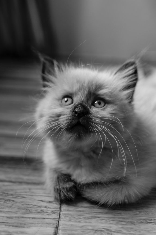 Photograph by Ирина Рыжова