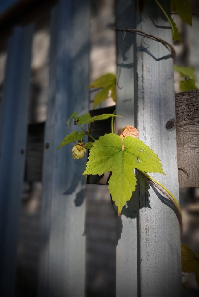 Photograph by Ирина Милонова